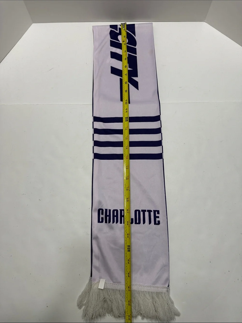 City Buzz Light Lavender Fringe Scarf with Soft White Tassels